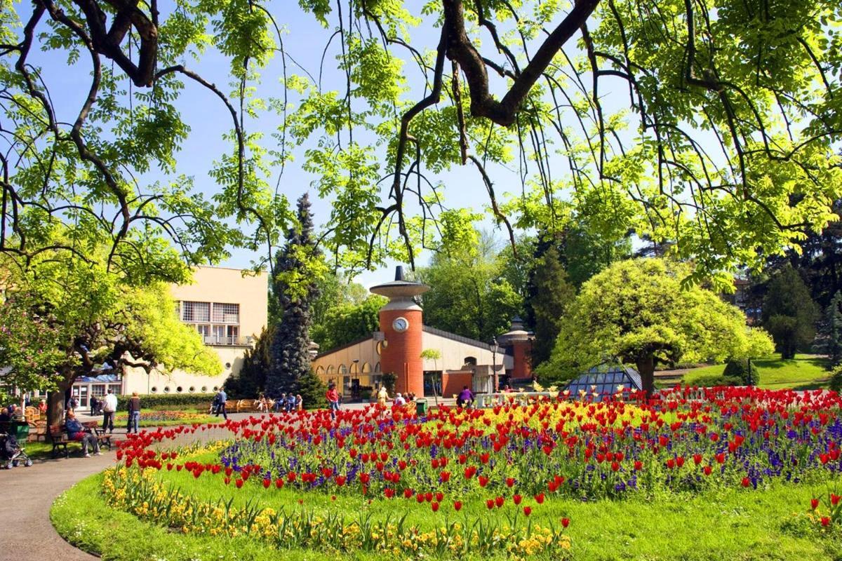 Hotel Kocka Vrnjačka Banja Dış mekan fotoğraf